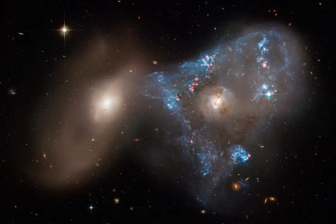 AI-Rijkdom Moet Universeel Gedeeld Worden